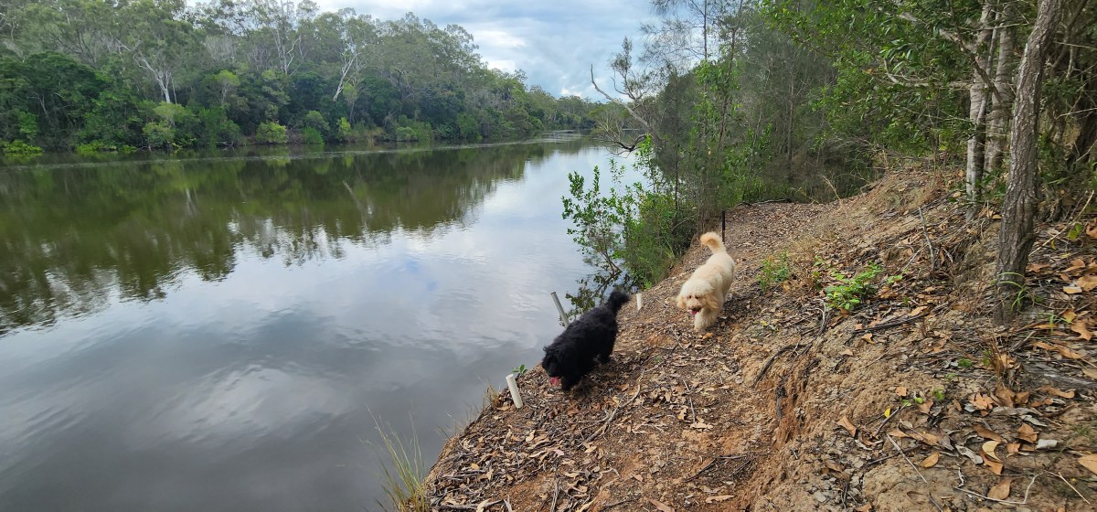 Baffle Creek Hipcamp